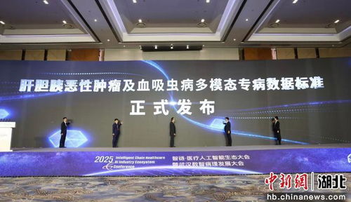2025智鏈醫(yī)療人工智能生態(tài)大會啟幕，智能技術驅動醫(yī)療健康新未來